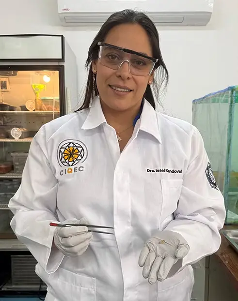 Dr. Diana Issell Sandoval Cárdenas is conducting research leads a project aims to degrade plastics Using Insects. Photo: Canal Once / MxPA