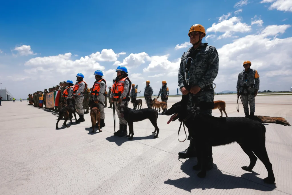In Venezuela, the Ministry of People's Power for Foreign Affairs announced that the country would receive international rescue teams to assist with emergency operations after several governments offered humanitarian aid. Photo: SRE